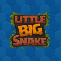 Play LittleBigSnake io game online