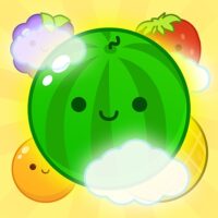 Watermelon Fruit 2048